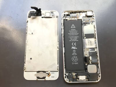 iPhone5-disassembly.jpg