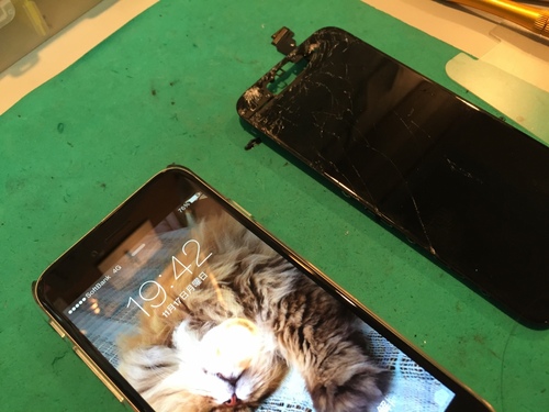 6fp4.jpgのサムネイル画像