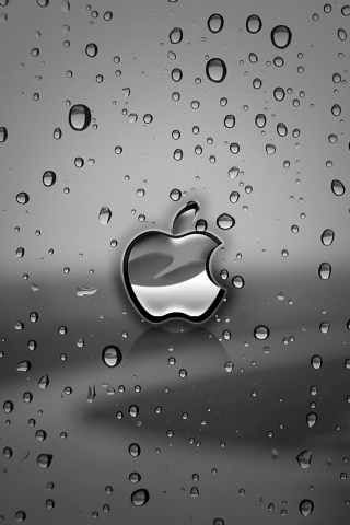 雨　iPhone.jpg