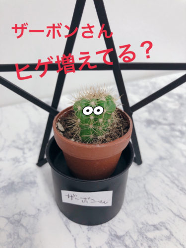 時計電池交換 クイック大和店