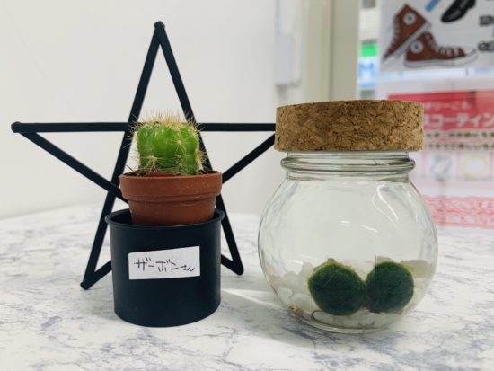 iPhoneSE 2世代 の画面修理もお任せください。