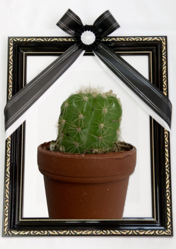 iPhone 保留 豆知識 クイック大和