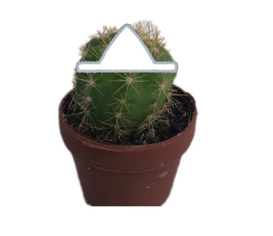 コーティングは クイック大和店 へ